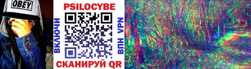 blacksprut зеркало  Дедовск  Галлюциногенные грибы Psilocybe 