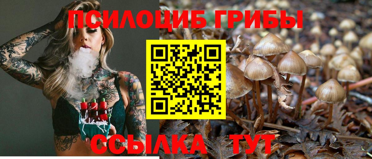 Дедовск  Галлюциногенные грибы Psilocybe  купить наркотики цена  Галлюциногенные грибы ЛСД  Вход с VPN 
